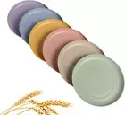 Lightweight Wheat Straw Plates 6 Pack 5.9' Unbreakable Dinner Dishes Plates SET