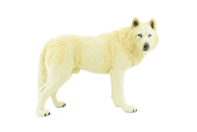 White Wolf, Arctic, Educational, Realistic, Figurine, Replica, 7" CH390 BB145