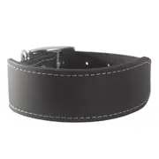 Beau Pets Leather Shaped Dog Collar - 40cm / Teal