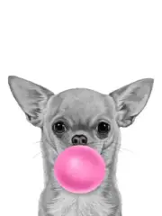 Chihuahua Blowing Pink Bubble Poster Print, Dog Wall Pop Art Home House Decor