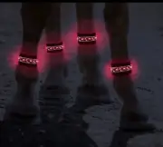 LED Glow Horse Leg Wraps Adjustable Night Riding Equipment For Horses RED LIGHT