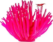 CTWPets Fluorescent Aquarium Decor – Glowing Fish Tank Ornament for Freshwater & Saltwater | Safe for Betta, Shrimp, & Tropical Fish | Includes Collector Card (Pink, Large)