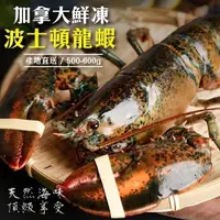 在飛比找ETMall東森購物網優惠-海肉管家-加拿大波士頓龍蝦1隻(約400~500g/隻)