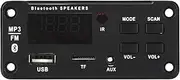 Lmyit Mp3 Decoding Board with Amplifier - 12V Car Audio Mp3 Decoding Board,5.0 Screen Display Receiver, Playback Amplifier Support Call Recording Function