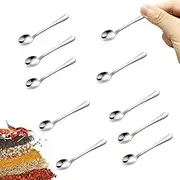 Ginobili Pack of 10 Small Stainless Steel Spoons for Spice Jars, Mini Size 2.87, Cute Small Spice Spoons Made of Stainless Steel