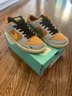 Size 10.5 - Nike Dunk Pro SB Low Safari