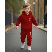 Boys 3D Graphic Hoodie Sweatpants Set Sports Suit Tracksuits Long Sleeve Spring Fall Daily Basic Casual Kids 4-12 Years Hooded Outdoor Vacation Sports Tailore