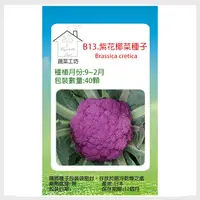 在飛比找PChome24h購物優惠-B13.紫花椰菜種子40顆