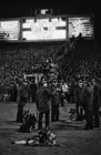Policemen with police dogs during the "Luton Riot", which happened - Old Photo
