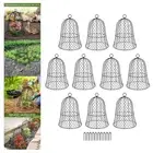 10x Plants Garden Cloches Chicken Wire Cloche Protect from Deer and Animals