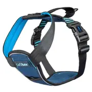 CarSafe Crash Tested Dog Harness - Large
