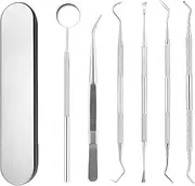 TPZORJX 6-Piece Dental Care Set, Dentist Instruments Dentist Cutlery Dental Mirror Tweezers Tooth Probe Tartar Remover Stainless Steel with Box, Tartar Remover, Tooth Cleaning Set Professional