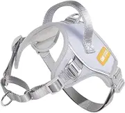 DF No Pull Step-in Martingale Dog Harness, Help Every Step Without Choking, Reflective & Adjustable Fit, Front Clip Harness with Control Handle & Tactical Metal Buckle, Gray, 5/8", Chest 24.8" - 33.8"