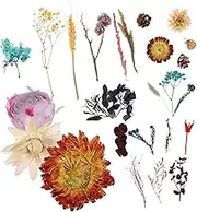 2 Boxes Dried Flowers Fake Flowers with Vase Decorative Artificial Flowers Dried Breath Flowers Artificial Flowers for Outdoors Dried Gypsophila Flowers Dried Bouquet Floral