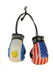 USA & ARGENTINA Country Flags Mini BOXING GLOVES .. New
