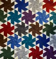 Jaybird Quilts Tiny Dancer Fusion Bloom Lap Size Quilt Kit 60” x 76” 6.875 yds!