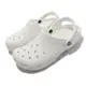 Crocs 涼拖鞋 Classic 女鞋 男鞋 白 全白 經典 克駱格 洞洞鞋 布希鞋 卡駱馳 10001100