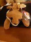 "Sly" the Fox Beanie Baby - Retired 1996