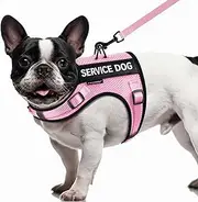 FAYOGOO Service Dog Vest for Small Dogs - Air Mesh Breathble Emotional Support Animal Vest with DIY Removable Patches - Puppy Harness and Leash Set Adjustable Neck and Chest