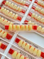 Acrylic Resin False Teeth Accutone Anterior Upper A3.5/81-4N dentures box 120ps
