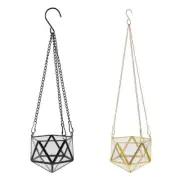 Hanging Glass Terrarium Geometric Shape Plant Holder Planter Flower Pot