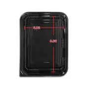 Japanese Sushi To go box J-6 9.3X6.5X1.8" 50PCS/100PCS/300PCS