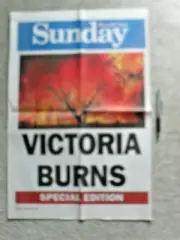 Victorian Bush Fires Firemen Firies Toxic Fear Climate Change 2 Posters set..