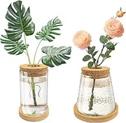 Dormercy 2Pcs Plants Propagation Station, Desktop Glass Planter Terrarium Vase with Wooden Lid&Tray, Plant Lover Gift (Hammer&Plain Glass)