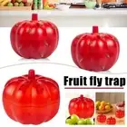 Small pumpkin Fruit Fly Control Monitor Traps ~~ GX
