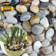 3 Lb River Rocks for Succulent Plants,Decorative Rocks Bonsai Garden Pebbles,Aq