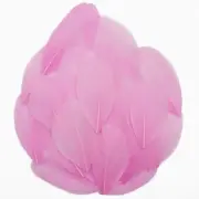 50 Pieces Natural Goose Feathers, 2-3 Inch Craft Feathers for 50pcs Pink