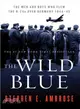 Wild Blue ─ The Men and Boys Who Flew the B-24s over Germany 1944-45