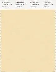 [Pantone] SMART 12-0714X Color Swatch Card, Cornhusk