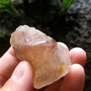41g 44mm Unique Nirvana Quartz Natural Golden Hair Rutilated Quartz Specimen