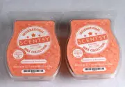 Scentsy Strawberry & Rockmelon Set/2 Wax Bars HTF