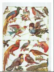 German SILVER GLITTER Vintage Style Scrap Die Cut - Colorful Birds WOW EF7246G