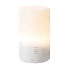 Essential Oil Humidifier Ultrasonic Air Diffuser Aroma Aromatherapy Air Purifier