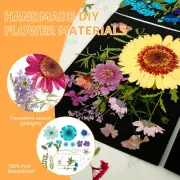 80 Pcs Dried Pressed Flowers for Resin Real Pressed Flowers Natural Dry guvLf
