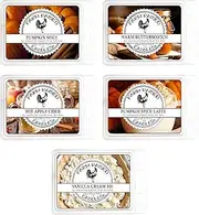 Pumpkin Spice Mix Wax Warmer Wax Melts - 5 Pack - Non-Toxic Wax Melts - Farm Raised Wax Melts- 100% Plant Based Soy Natural Wax Melts Cubes. Vanilla Cream Pie, Apple Cider.