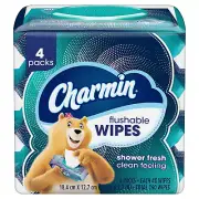 Flushable Wipes, 160 Total Wipes (4 Packs of 40)