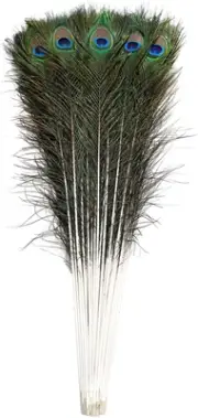 20Pcs Natural Long Peacock Feathers 35-40 Inch for DIY Craft, Party, Wedding Chr