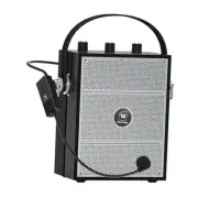 Bluetooth 5.3 Voice Amplifier with Wireless Microphone Headset,Personal