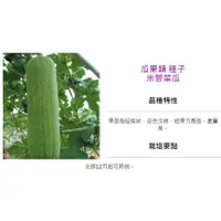 在飛比找蝦皮購物優惠-育材【開心田園樂】種子 米管菜瓜(北部12月起可育苗.產量高