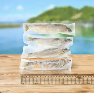 【漁夫鮮撈】 宜蘭黃金母香魚12尾入/包，共3包