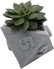 Dice Succulent Planter Cactus Flower Pot D20, D12 and D8 Dice - 3D Printed Plant Pot for Tabletop RPG Gamers (B)