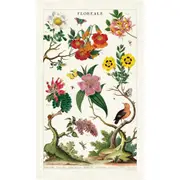 Cavallini Cotton Kitchen Tea Towel Absorbent Dish Cloth 48x80cm Floreale