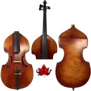 Baroque style SONG Maestro install Frets 5 strings 27" viola da gamba #14859
