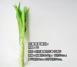 Lmdec高仿真蔬菜模型 假萵筍白菜娃娃菜手感裝飾蔬果擺放水果