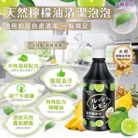 在飛比找PChome24h購物優惠-【衣麗亮白】氣炸鍋天然檸檬油清潔泡泡 500ml