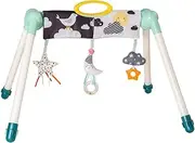 Taf Toys Mini Moon Take-to-Play Baby Activity Gym | Newborn All Time Entertainment, Double Sided for 2 Developmental Stages, Foldable, Easy Storage and Mobility, Perfect to Use with Bouncers
